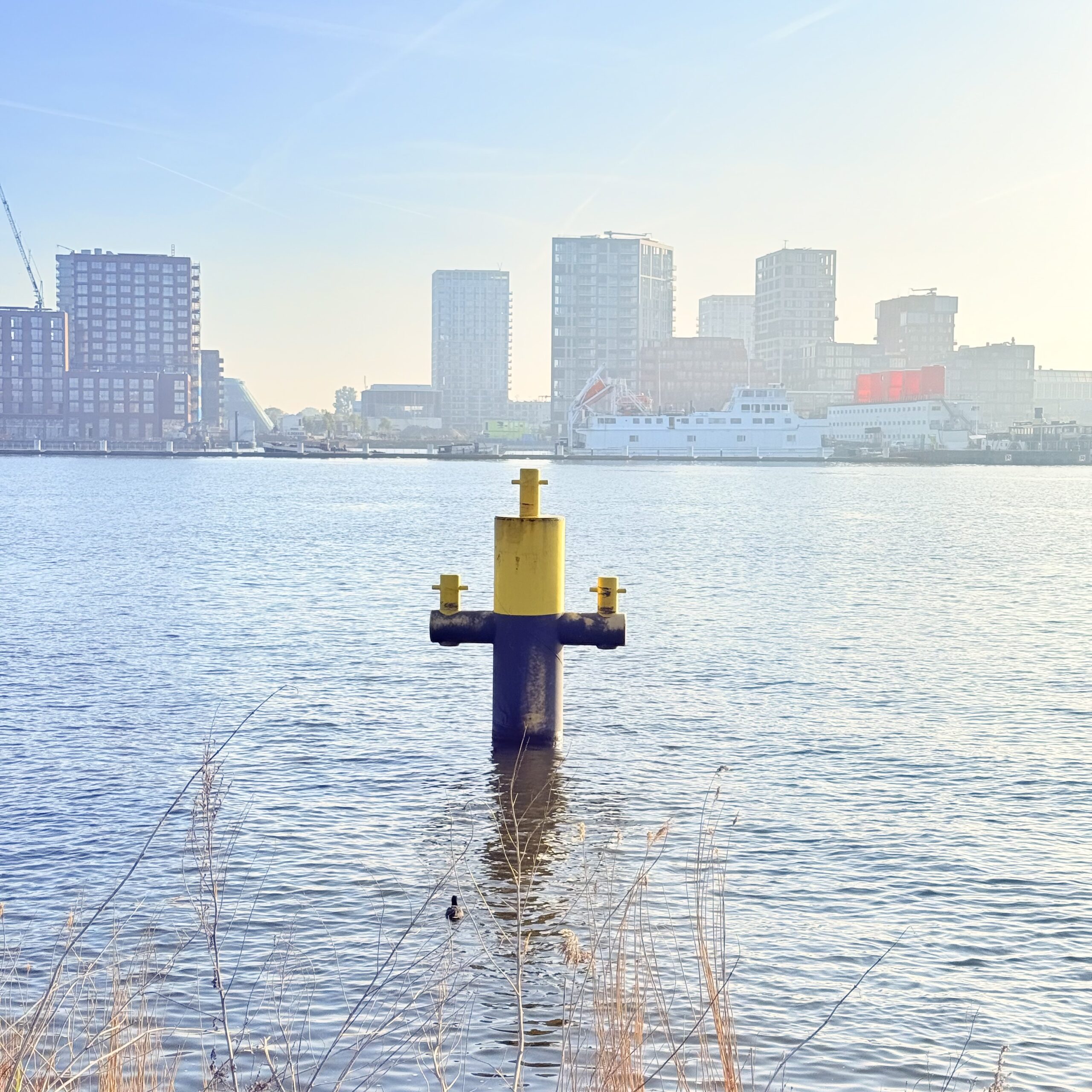 The Waterfront