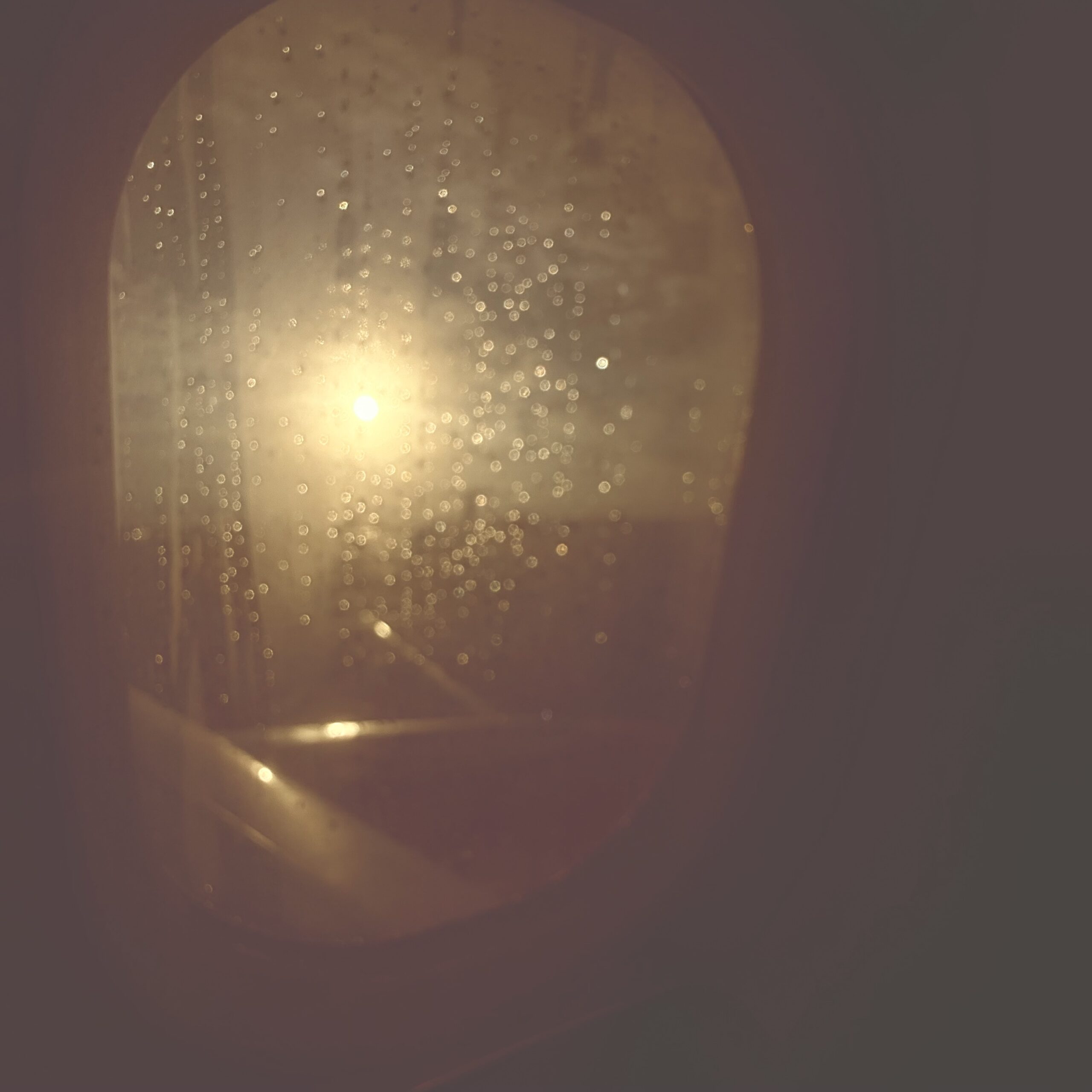 Homeward