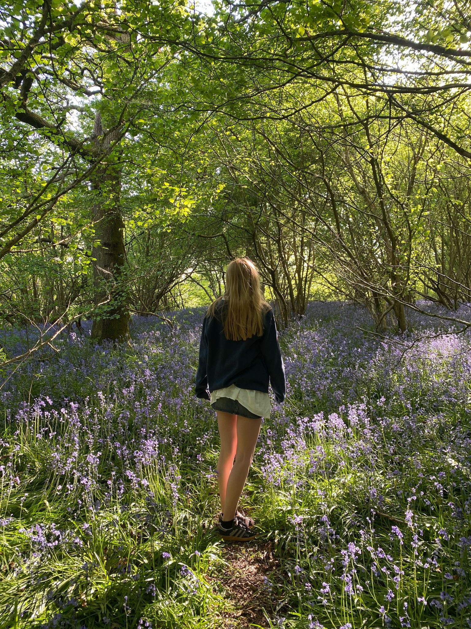 Lily in Bluebell wood