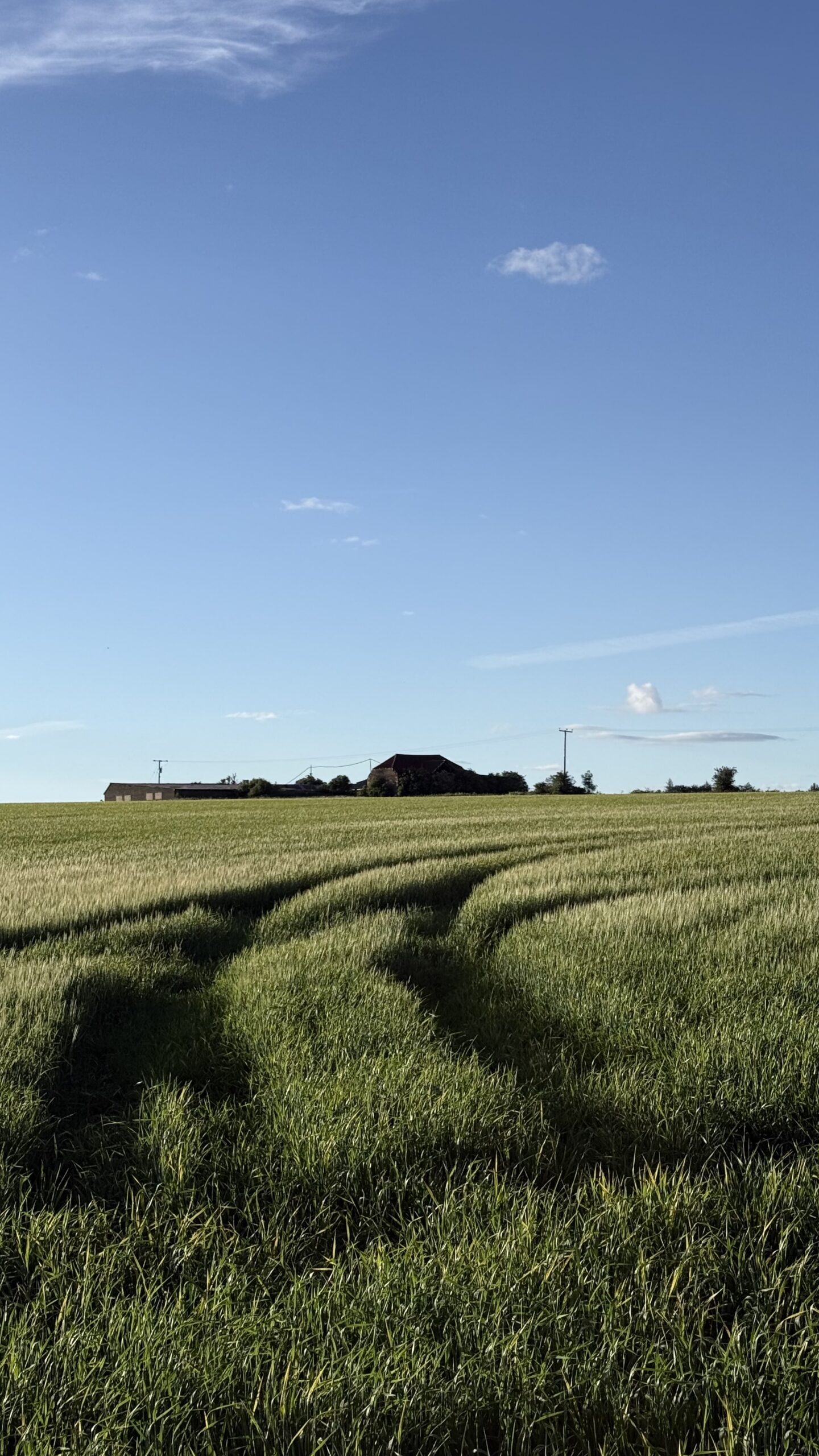 Image: IMG 4600